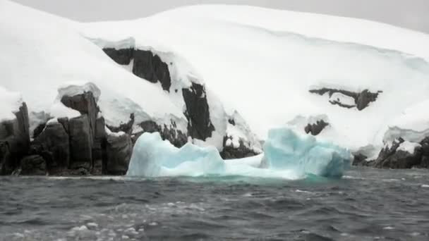 南極の海の流氷. — ストック動画
