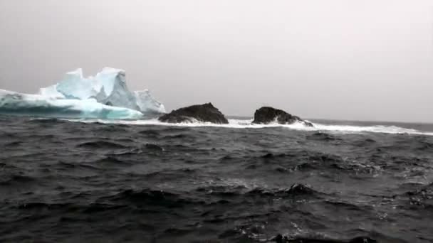 Iceberg y témpano de hielo en el océano Antártico . — Vídeo de stock