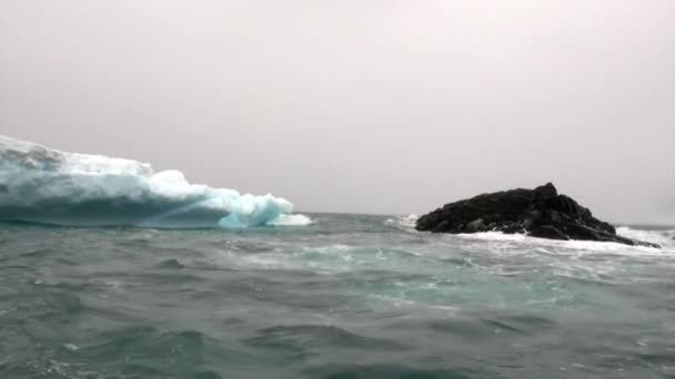 Iceberg y témpano de hielo en el océano Antártico . — Vídeos de Stock