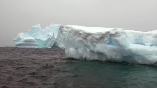 Iceberg e gelo flutuam no oceano da Antártida . — Vídeo de Stock