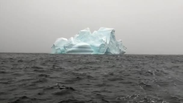 南极洲海洋中的冰山和浮冰. — 图库视频影像