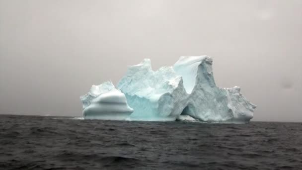 Ledovce v oceánu Antarktidy. — Stock video