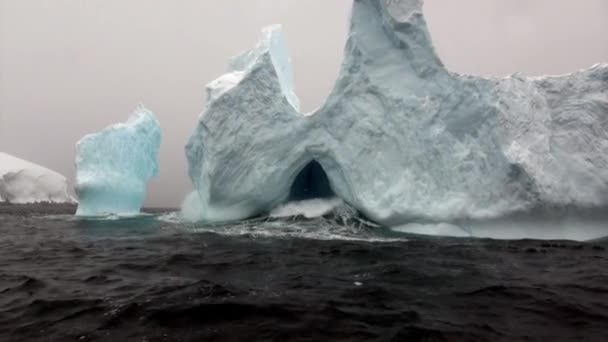 Iceberg nell'oceano dell'Antartide . — Video Stock