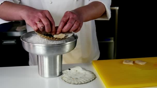 Il cuoco prepara un'insalata di capesante . — Video Stock