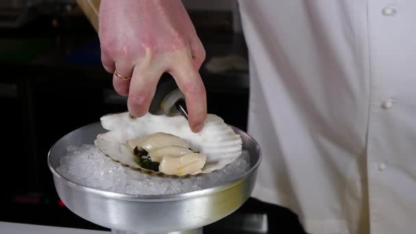 De kok bereidt een zee salade van Sint-jakobsschelpen. — Stockvideo