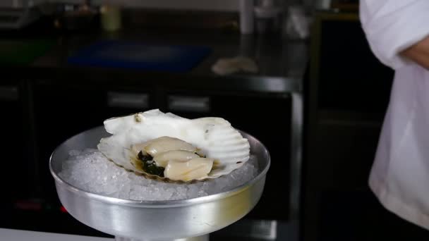 Повар готовит морской салат из гребешков . — стоковое видео