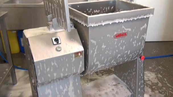 Mezclador de ensalada industrial de limpieza y lavado . — Vídeos de Stock