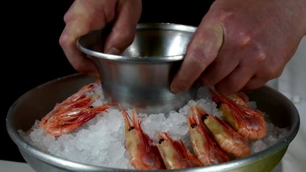 El cocinero prepara el plato de los langostinos cocidos sobre el hielo . — Vídeos de Stock