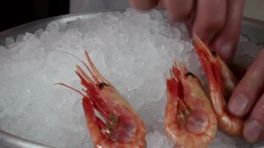 Aşçı buzda haşlanmış Karides yemeği hazırlar.