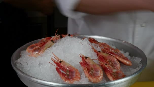 The cook prepares dish of boiled shrimp on ice. — Stock Video