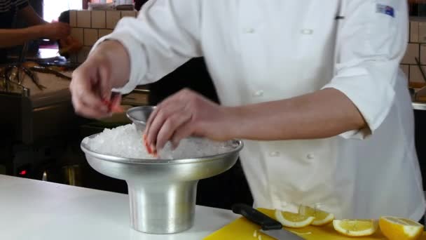 De kok bereidt schotel van gekookte garnalen op ijs. — Stockvideo