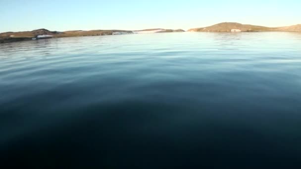 Costa y superficie de agua del Océano Ártico en la Nueva Tierra Vaigach Island . — Vídeos de Stock