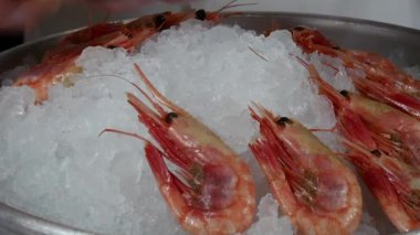 Aşçı buzda haşlanmış Karides yemeği hazırlar.