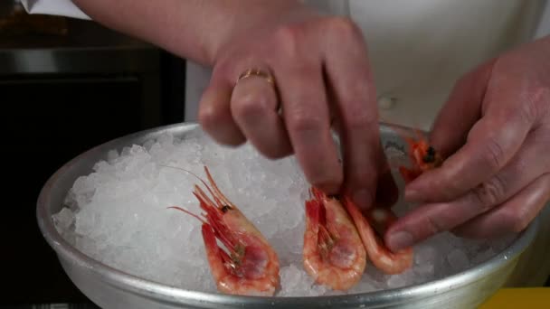 O cozinheiro prepara o prato do camarão fervido no gelo . — Vídeo de Stock