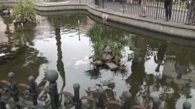 Inti-Nan Museum yanında çevre düzenlemesi.