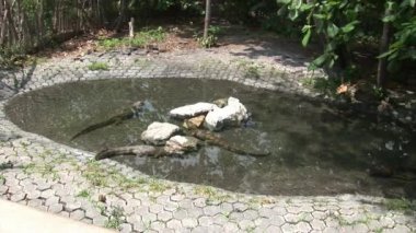 Inti-Nan Museum yanında çevre düzenlemesi.