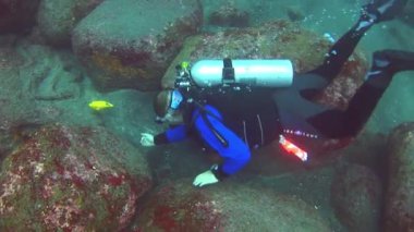 Deniz yatağının arka planında dalgıçlar suyun altında.