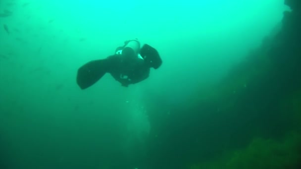 Plongées sous-marines sur fond de fonds marins. — Video