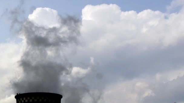 Tubos industriales de humo de chimenea de la planta . — Vídeos de Stock