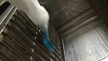 İşçinin elinde mavi fırça yıkama Endüstriyel fırın temizler.