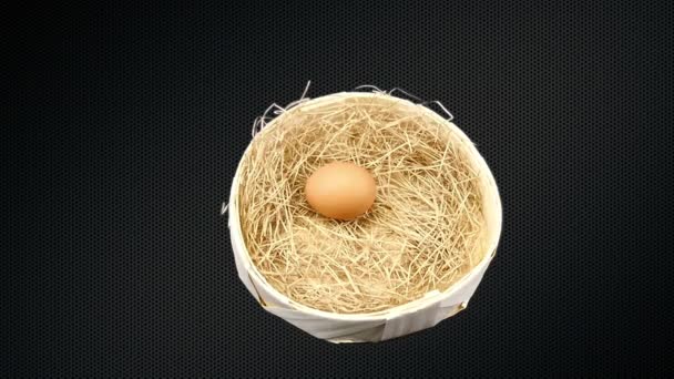 El huevo se mueve hacia la cesta con paja . — Vídeos de Stock