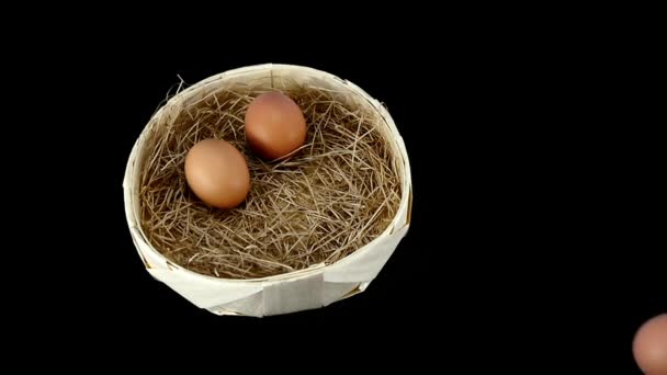 Rouleaux d'oeufs aux deux autres dans un panier avec de la paille . — Video