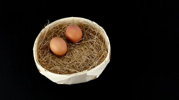 Ägg rullar till de andra två i en korg med halm. — Stockvideo