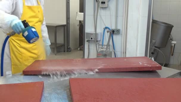 Čištění a mytí průmyslových zařízení v továrně. — Stock video