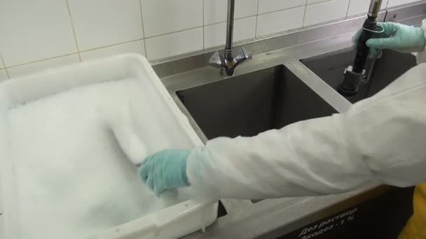 Tvätt och desinfektion av industriella kött kniv. — Stockvideo
