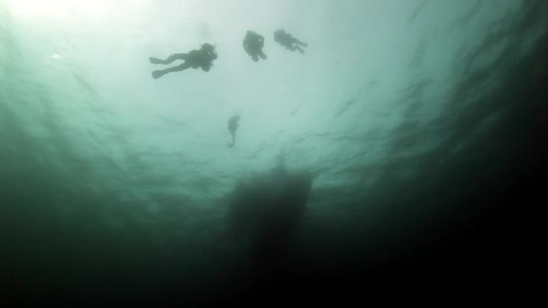 Silhouetten einer Gruppe von Tauchern unter Wasser der Barentssee. — Stockvideo