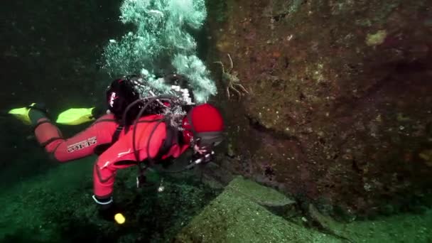 Diver underwater on seabed of Kamchatka. — Stock Video