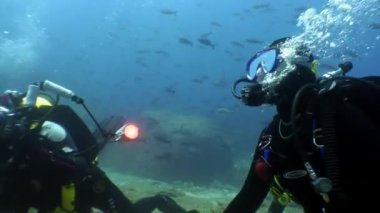 Bir video undwewater grup dalgıç ve film kamera operatörü yapar.