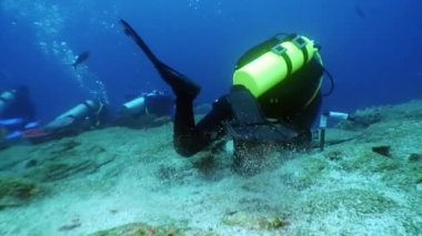 Bir video undwewater grup dalgıç ve film kamera operatörü yapar.