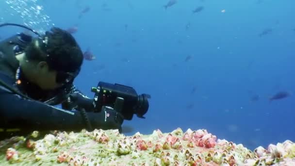 Diver operador de cámara de película hace un video undwewater . — Vídeo de stock