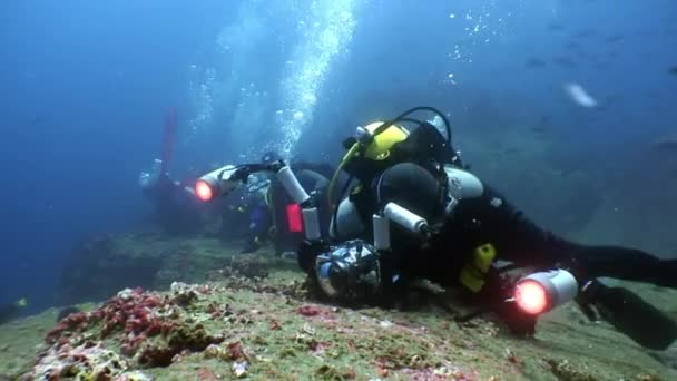 Grupo de mergulhador e operador de câmera de filme faz um vídeo unwewater . — Vídeo de Stock
