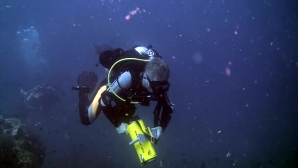 Diver operatore della macchina fotografica di film fa un video sulla scuola di pesci undwewater . — Video Stock