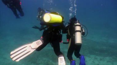 Dalgıç undwewater okyanusta Grup.