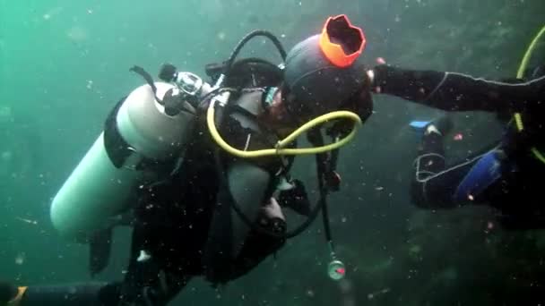 Grupo de mergulhadores de águas residuais no oceano . — Vídeo de Stock