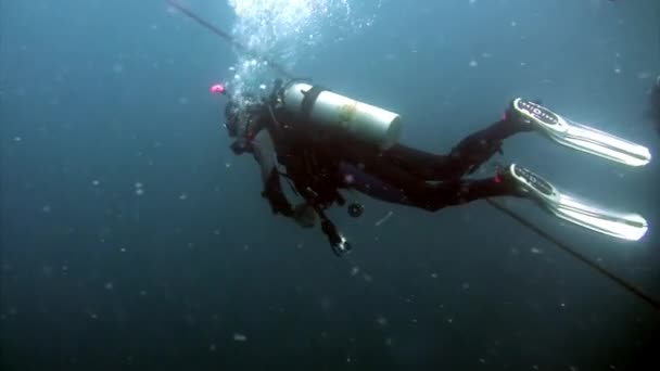 海洋 undwewater 绳索附近的潜水员群. — 图库视频影像