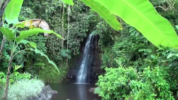 Fautaua Waterfall in French Polynesia on Tahiti Island. — Stock Video