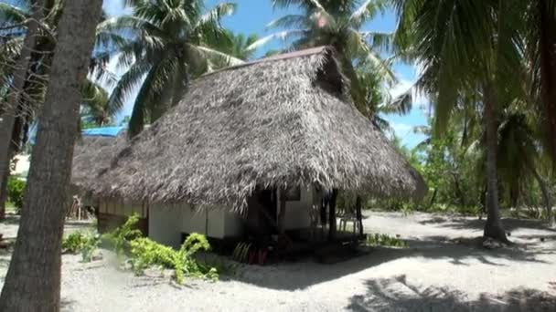 Bungaló a Csendes-óceán partján. — Stock videók