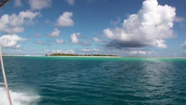 Nézd a mozgó hajóról, a homokos strand- és pálmafák között a háttér-óceán. — Stock videók