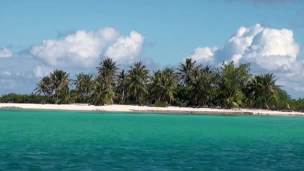 Widok z płynącej łodzi na piasek plaża i palmy drzewa na tle ocean. — Wideo stockowe