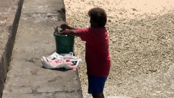 Ile Tahiti Polynésie Française Mai 2018 Poisson Est Frit Feu — Video