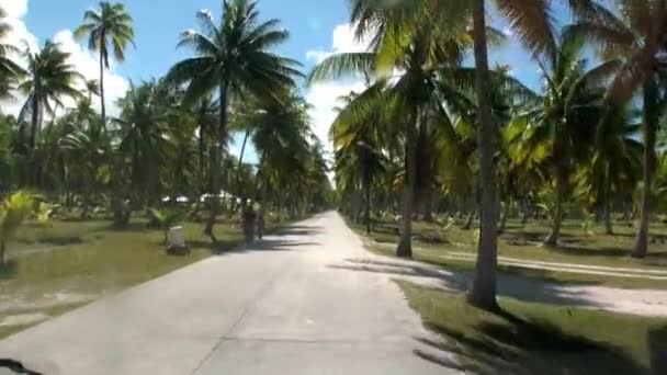 Vue depuis une voiture en mouvement sur la route près de la côte océanique . — Video