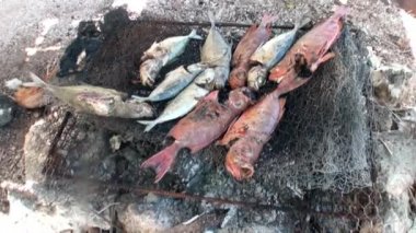 Balık kömür ateşte kızartılıyor. Balıkçılık sonra yemek yemek. Açık havada gastronomi.