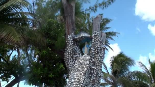 Religiöser Baum mit Muscheln. — Stockvideo