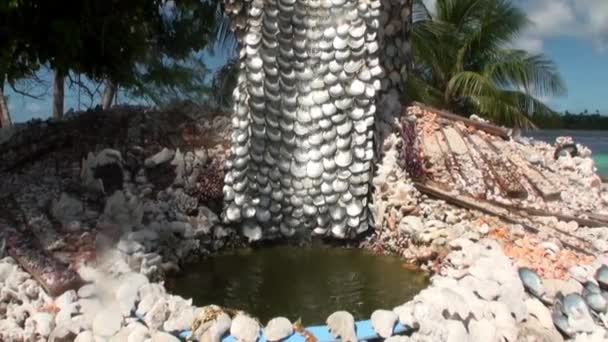 Religious tree with seashells. — Stock Video