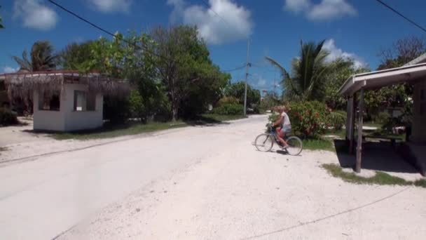 Woman is riding a bicycle on road. — Stock Video