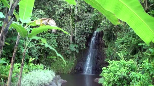 Fautaua Waterfall in French Polynesia on Tahiti Island. — Stock Video